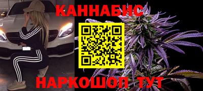 мдпв Славгород
