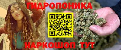 a pvp Сланцы
