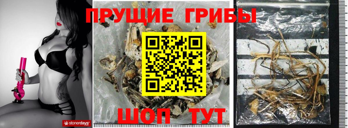 Галлюциногенные грибы мухоморы  Вход с VPN  Пугачёв  Галлюциногенные грибы Cubensis 