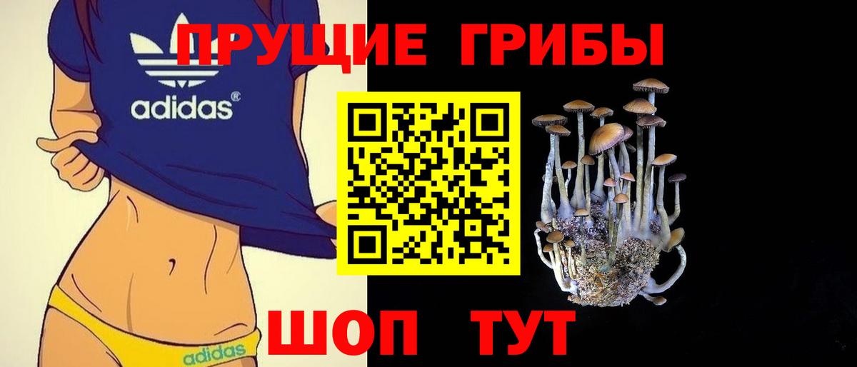 Галлюциногенные грибы Magic Shrooms Пугачёв